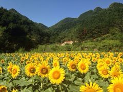 iphone_upload_pic-北京山里寒舍度假酒店