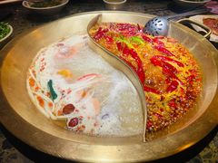 红白鸳鸯锅-小龙坎火锅(双林店)