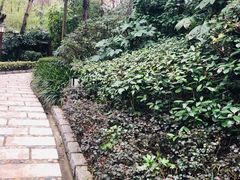 -天目湖涵田半山温泉