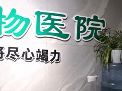 -半岛宠物医院24小时(白果林店)
