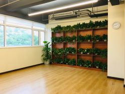 -兰瑜伽·普拉提