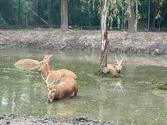 -溱湖国家湿地公园