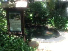 -三亚珠江南田温泉度假区