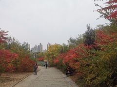 -南翠屏公园