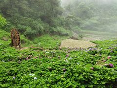 -鼓岭旅游度假区
