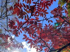 -叠溪松坪沟景区