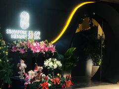 -狮拾久·现代新加坡料理(福田COCO Park店)