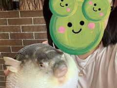 -永安鱼庄·镇江菜(东吴路店)