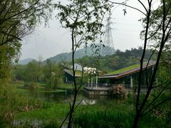 android_upload_pic-西湖风景区-江洋畈生态公园