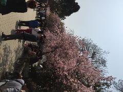 青龙寺博物馆-西安青龙寺遗址景区