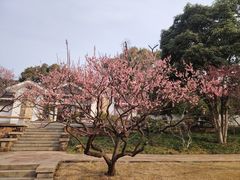 -无锡梅园公园