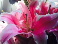 -味多美蛋糕(亚非大厦店)