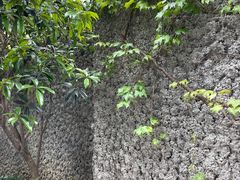 -巴厘龙虾·榜首油焖大虾(洞庭·艺术洋房店)