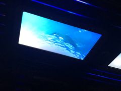 -海洋公园海洋列车－海滨站