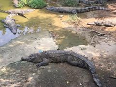 -广东茂名森林公园
