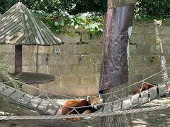 -上海野生动物园