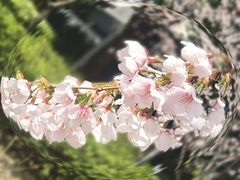 -静安雕塑公园