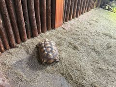 -海合安武汉极地海洋公园