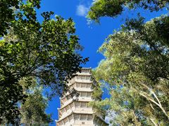 -深圳国际园林花卉博览园