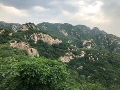 -大岭沟猕猴桃谷风景区