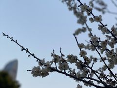 -荔枝公园(福田区)