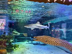 -凯德广场(学府店)