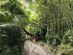 -人民公园(罗湖区)