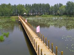-白渔泡湿地公园