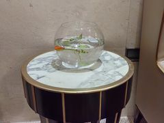 -裕龙汤泉