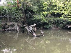 -汇龙潭