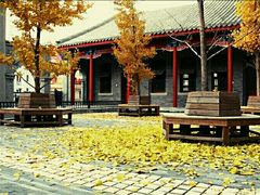 -北京师范大学附属中学