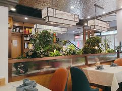 -洞庭家宴·头牌甲鱼(广渠门店)
