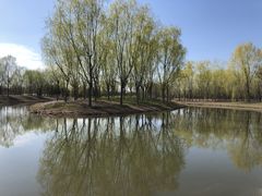 -东郊湿地公园