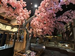 -大江户·温泉洗浴(浑南店)