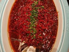 -阿五黄河大鲤鱼(河南长垣店)