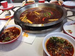 红锅锅底-蜀滋香鲜鱼美蛙火锅(339店)