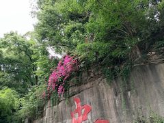 -忠山公园