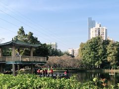 -晓港公园