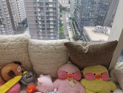 -净妍美肌专业净毛嫩肤连锁机构