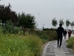 -东疆建设开发纪念公园