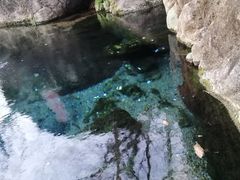 -清水湾·洗浴会所