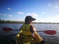 -春花秋色城市公园