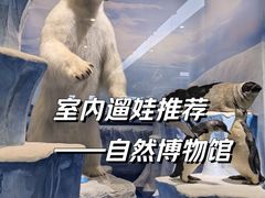 -国家自然博物馆