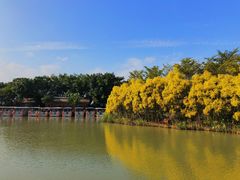 -大湾区中央湿地公园