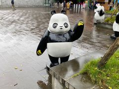 -都江堰中华大熊猫苑