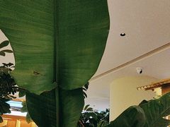 -桂满陇·蟹黄小笼汤包(中山公园店)