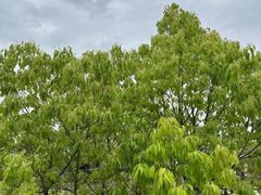 -茅草房·河畔园林火锅