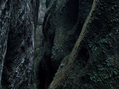 -江西龙虎山景区