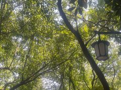 -敬亭山风景名胜区