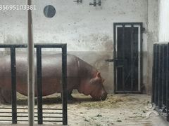 -石家庄市动物园